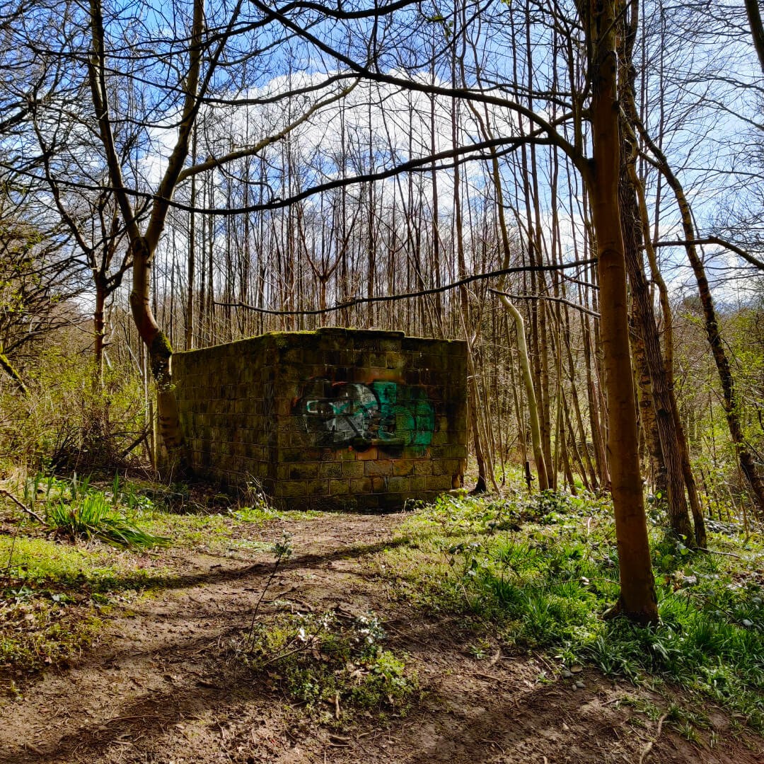 Abandoned building in Adel Woods along the Meanwood Valley Trail