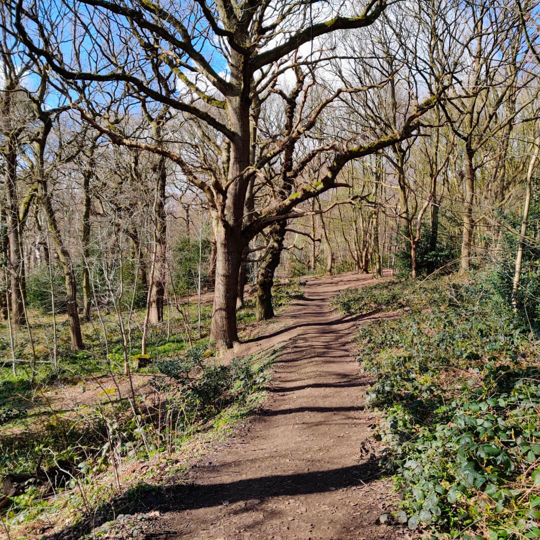 Path through Adel wood along the Meanwood Valley Trail