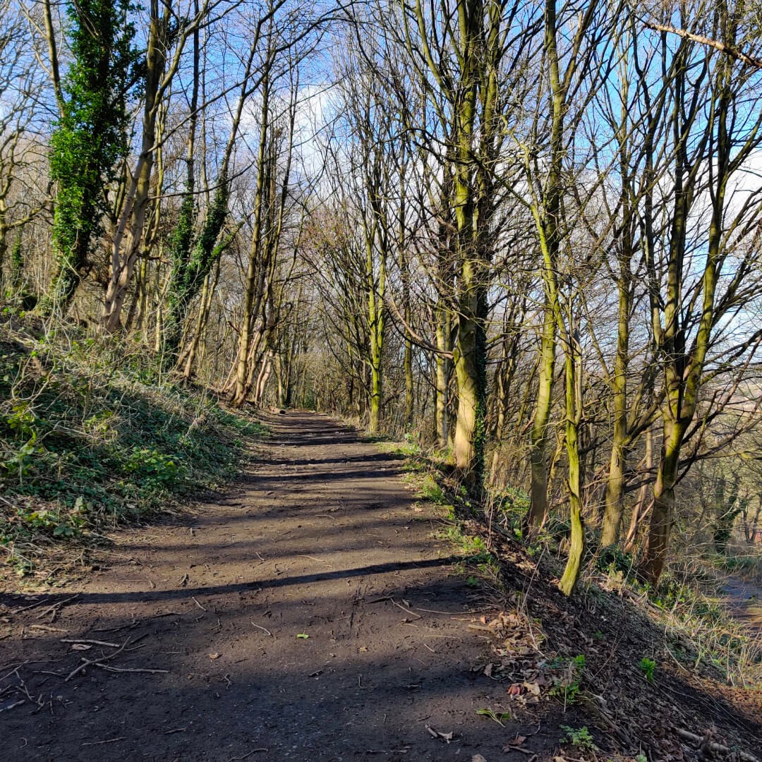 Muddy path through Woodhouse Ridge
