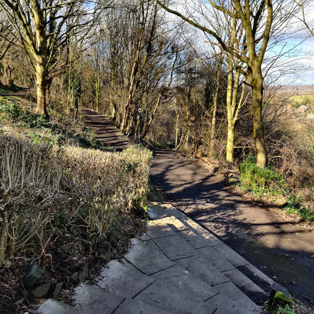 Steps down into Woodhouse Ridge for the Meanwood Valley Trail