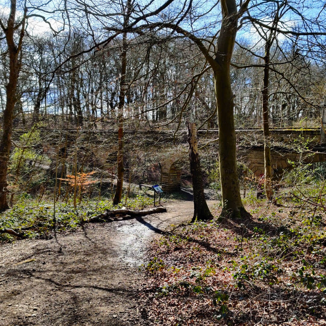 Looking down towards the Seven Arches bridge along the Meanwood Valley Trail