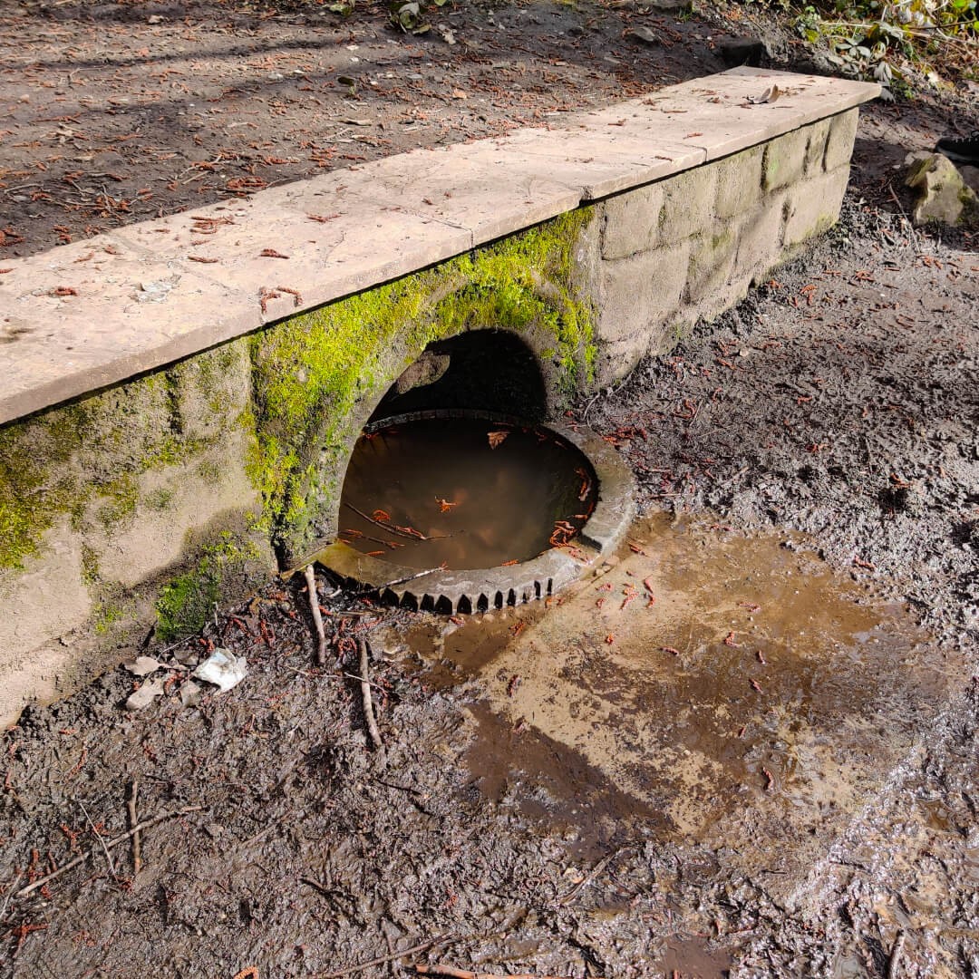 A muddy Slavering Baby spring along the Meanwood Valley Trail