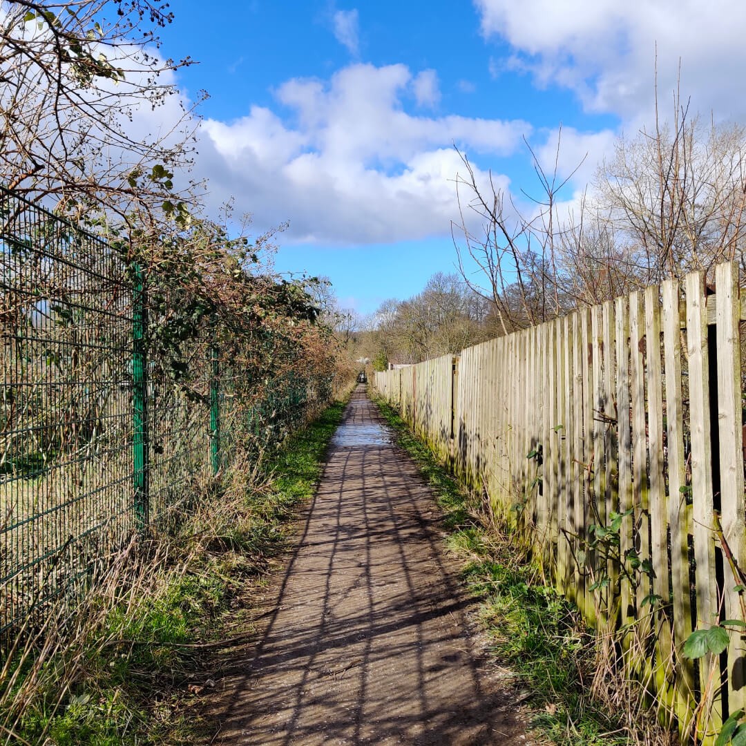 Footpath between Meanwood Allotments along the Meanwood Valley Trail