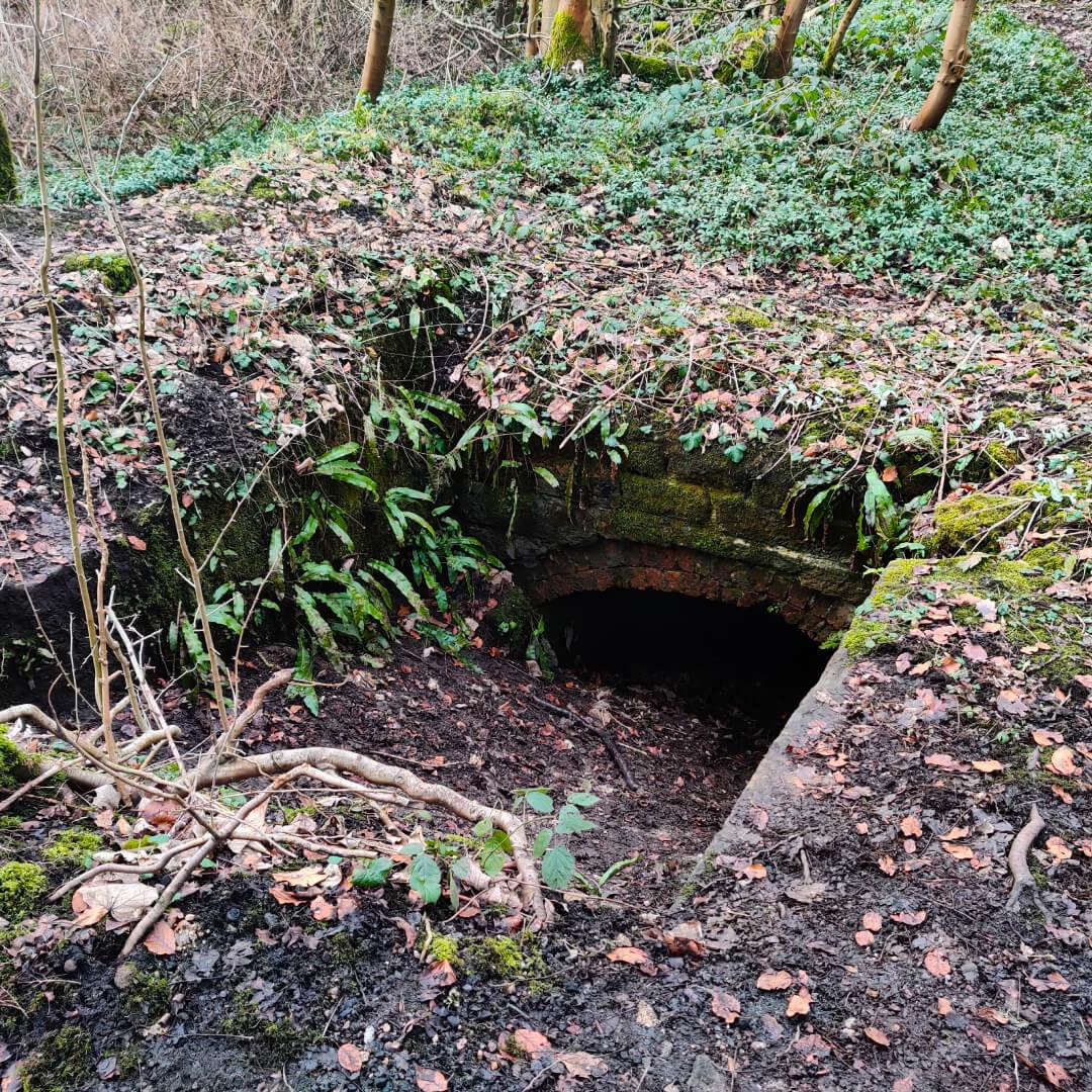 Abandoned bunker in Adel Woods along the Meanwood Valley Trail