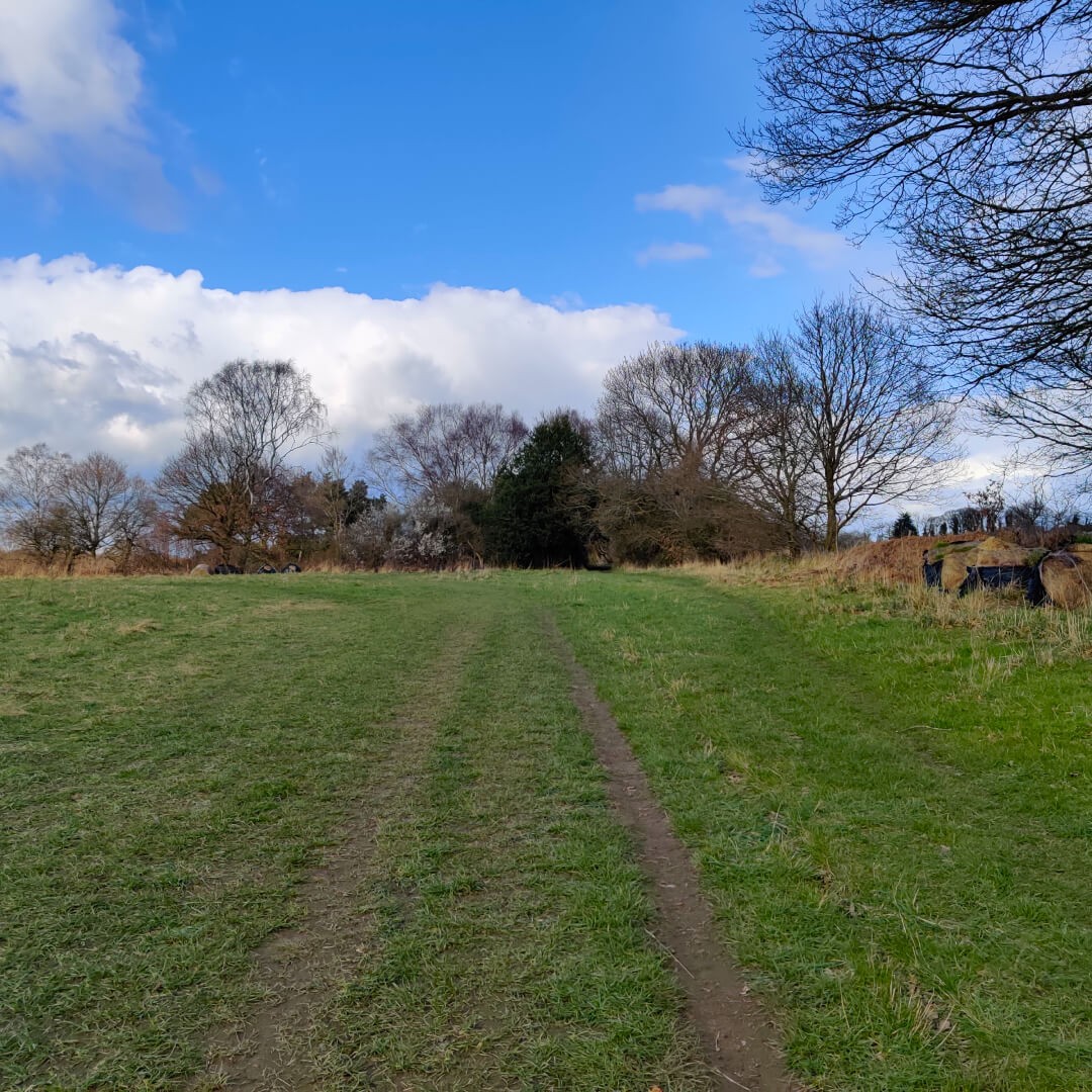 Walk across a field along the Meanwood Valley Trail
