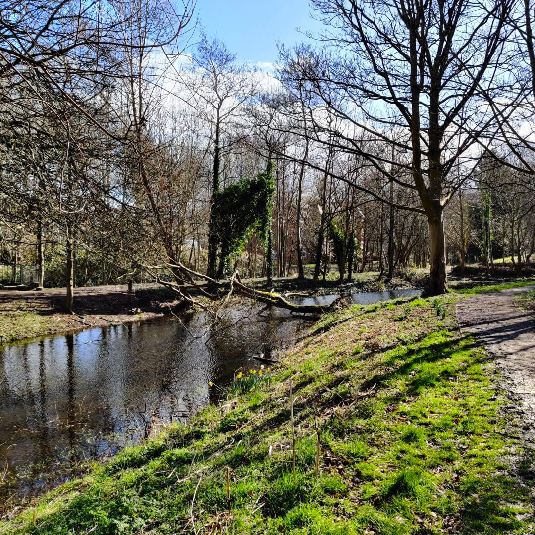 Grove Lane Pond in Spring along the Meanwood Valley Trail