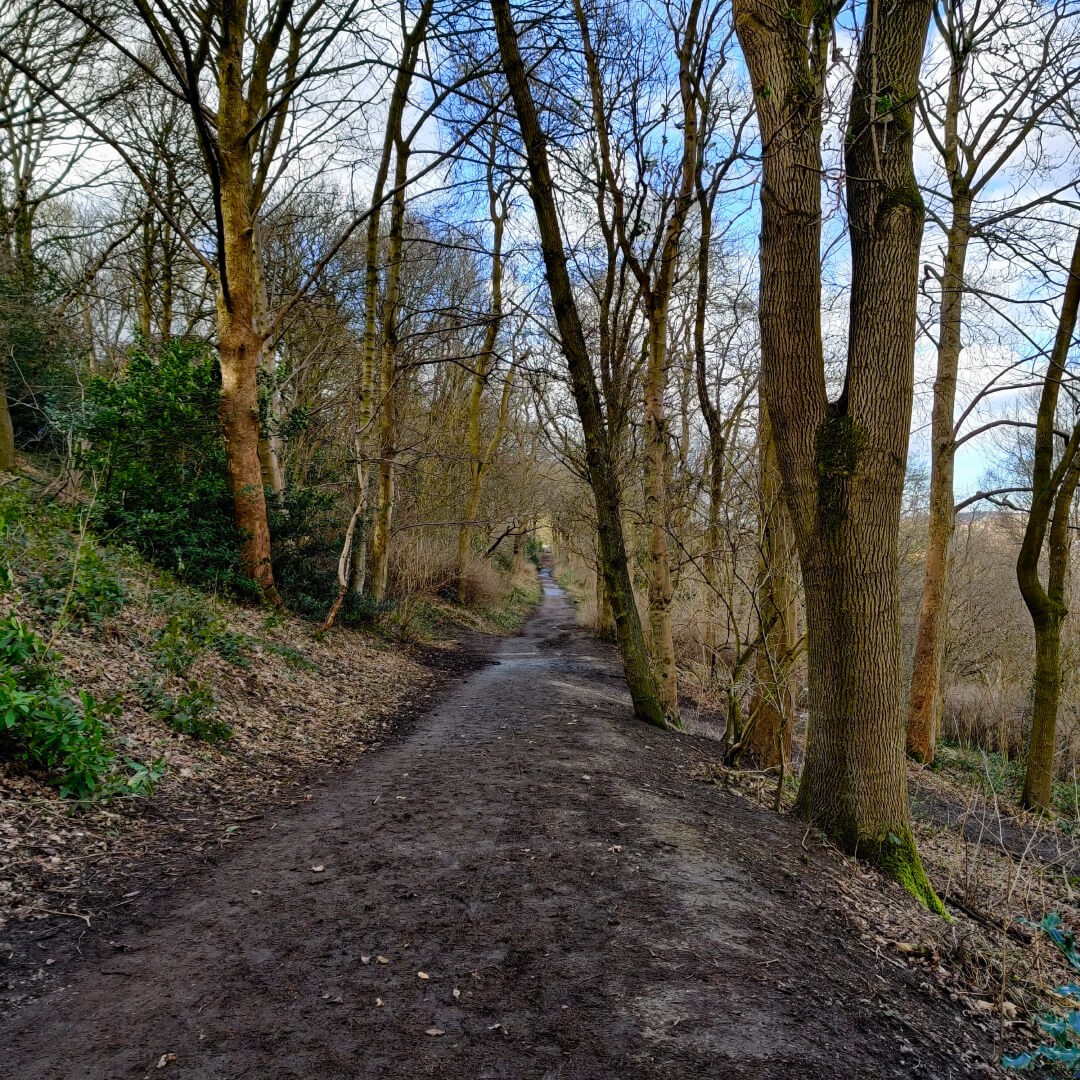 Muddy path through Woodhouse Ridge along the Meanwood Valley Trail